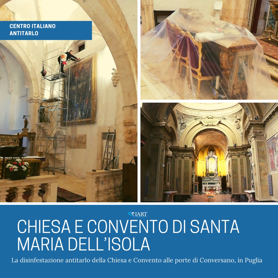 Disinfestazione da tarli Chiesa